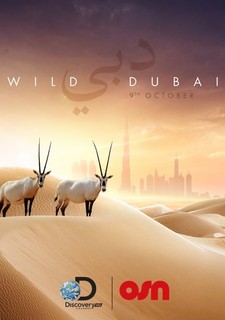 Úžasná zvířata Dubaje