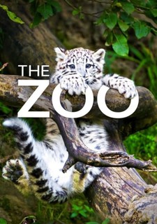 Zoo
