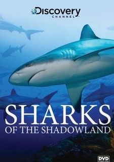 Žraloci z podsvětí