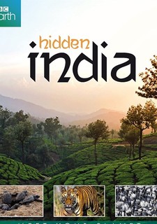 Hidden India