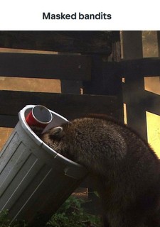 Roztomilí darebáci