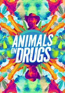 Zvířata na drogách