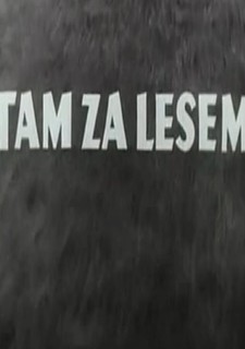 Tam za lesem