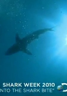 Ve žraločích čelistech