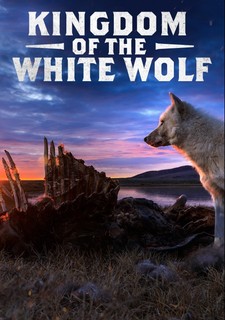 Království vlka arktického