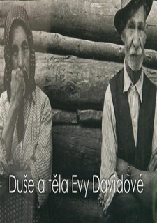 Duše a těla Evy Davidové, Mezinárodní den Romů