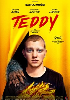 Teddy