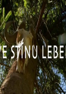 Ve stínu lebek