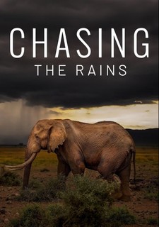 Chasing the Rains