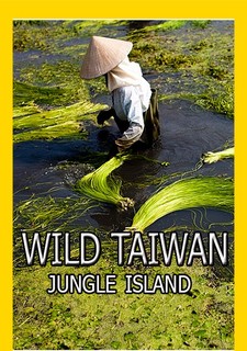 Divoký Tchaj-wan: Ostrovní džungle