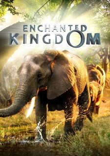 Kouzelné království