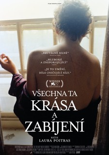 Všechna ta krása a zabíjení