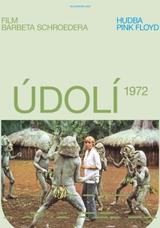 Údolí
