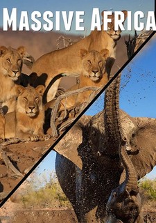Velkolepá Afrika