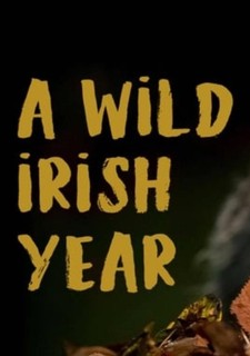 Divoké Irsko - rok v proměnách