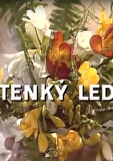 Tenký led, Dana Syslová – 80 let