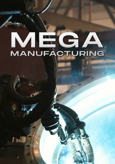 Megavýrobci
