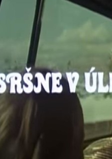 Sršne v úli