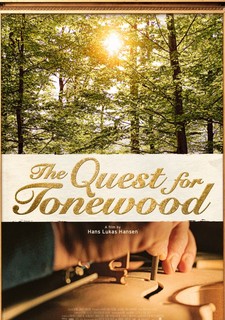 Dřevo pro Stradivariho