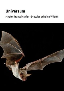 Divoká Transylvánie: Drákulovo skryté království