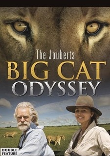 Putování za velkými kočkami