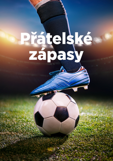 Přátelské zápasy