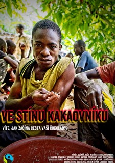 Ve stínu kakaovníku