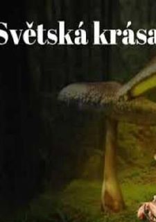 Svetská krása