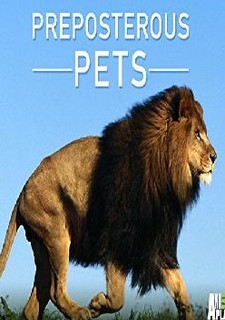 Preposterous Pets