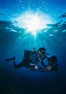 Divy korálového trojúhelníku