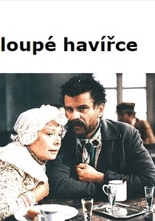 O hloupé havířce