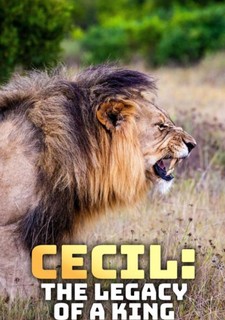 Cecil, lví král