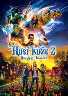 Husí kůže 2