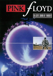 Pink Floyd - Delicate Sound of Thunder, Pop-rockové pódium