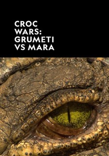Krokodýlí války: Grumeti vs. Mara
