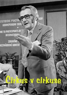 Cirkus v cirkuse