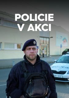 Policie v akci
