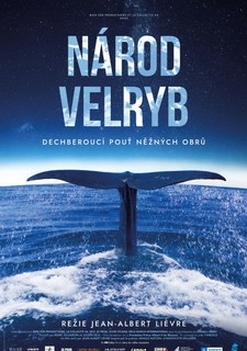 Národ velryb