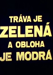 Tráva je zelená a obloha modrá