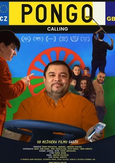 Pongo Calling