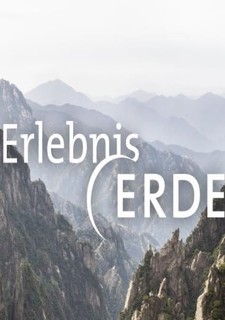 Estonská říše losů