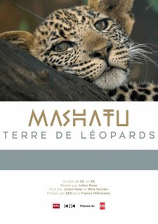 Mashatu: Země levhartů