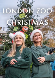 Londýnská Zoo o Vánocích