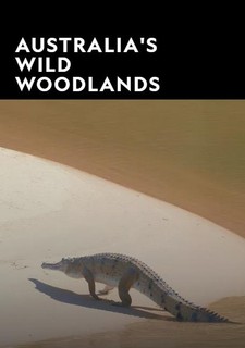 Divoké lesy Austrálie