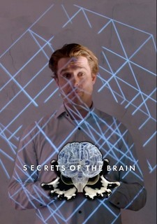 Secrets of the Brain