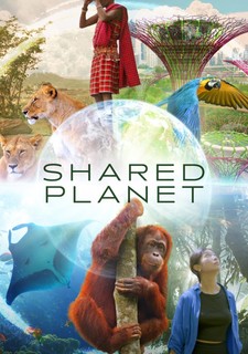 Soužití lidí a zvířat na jedné planetě