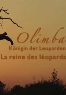Levhartí královna