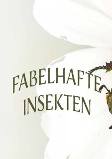 Fabulous Insects