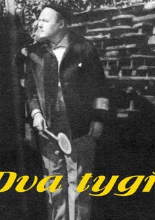 Dva tygři