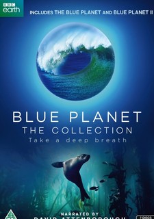 Modrá planeta - Historie oceánů
